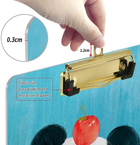 PANDA 9 x 12,5 Plástico Apagação seca Pasta de transferência com tábuas de clipe de tamanho legal de clipe de baixo perfil