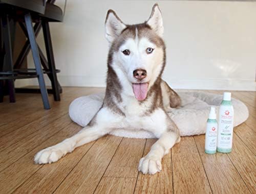 Aroma shampoo de cães - lavagem de limpeza, condicionamento, hidratação - ingredientes saudáveis ​​e sem toxinas - shampoo