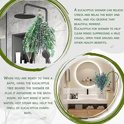 Mix fresco Eucalipto e buquê de lavanda para chuveiro | 17 '' Eucalipto real natural folhas decoração de chuveiro decoração de casa decoração de lavanda aromática Planta de chuveiro, fragrância