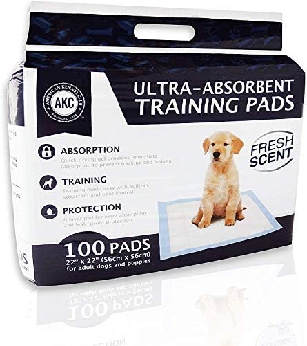 Almofadas de treinamento perfumadas de cachorrinho com um gelador de cachorro com aroma de puplo com Ultra absorvente - 22 x 22 x
