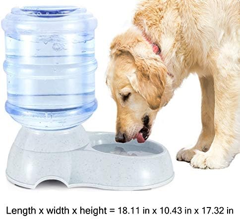 Abençoada Família Pet Gravity Dispensador de água grande 3 galões 11 litros Distribuidor de tigela durável e de gato de cachorro