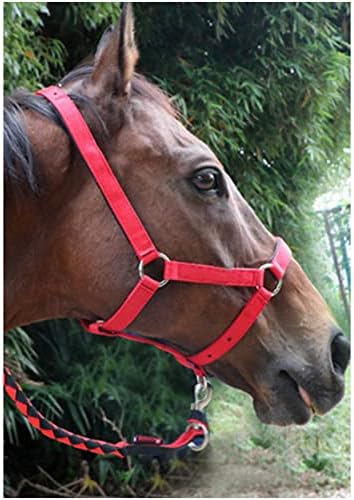 Z & X Padrão PVC PVC Bridle Horse Equestrian Rédeas Andar de Pony Bridle para acessórios para cavalos Equipamento