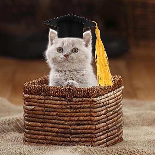 Galpada 2 PCs Pet Graduation Cap Small Dog Chapters com Tassel Cats Doctor Hat para Cachorro Catos Acessório de férias