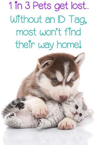 Washington State Cougars Pet Id Tag para cães e gatos | Oficialmente licenciado | Personalizado para o seu animal de estimação