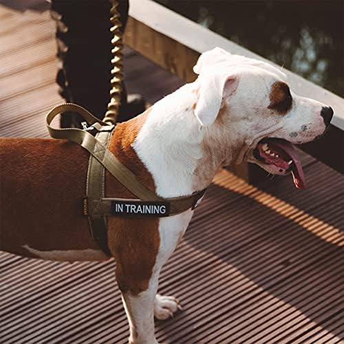 Wtzwy Tactical Dog Arnness, colete de cão militar ajustável e ajustável, sem tração, sem tração fácil de usar equipamento