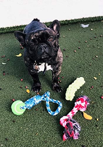 Brinquedos de cachorro de corda rite -hite - para cães pequenos, médios e grandes, inclui bola, feita para mastigadores