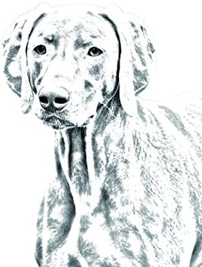 Weimaraner, lápide oval de azulejo de cerâmica com uma imagem de um cachorro