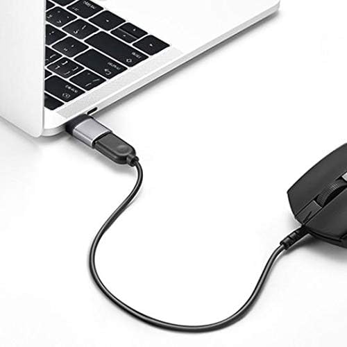 Cabo de onda de caixa compatível com JBL Charge 5 - USB -C para um portchanger, USB tipo C Tipo OTG USB Keychain portátil para JBL Charge 5 - Slate Black
