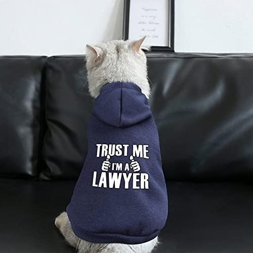 Confie em mim, eu sou um advogado moleto