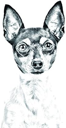 Toy Fox Terrier, lápide oval de azulejo de cerâmica com a imagem de um cachorro