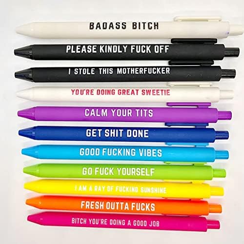 Cityherit 11pcs canetas engraçadas para adultos, Swear Word diariamente caneta esferográfica, canetas premium recém