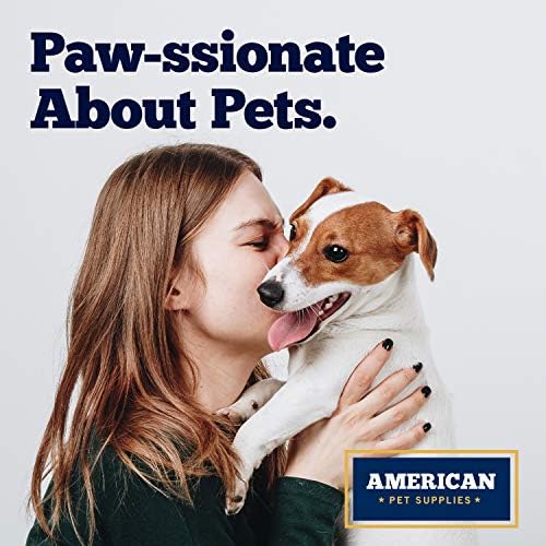 American Pet Supplies Tigelas de cães, conjunto de 2 tigelas de aço inoxidável coloridas sem derrapagem e sem ponta para filhotes
