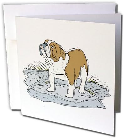 Bulldog inglês bonito e fofinho canino - cartões de felicitações, 6 x 6 polegadas, conjunto de 12