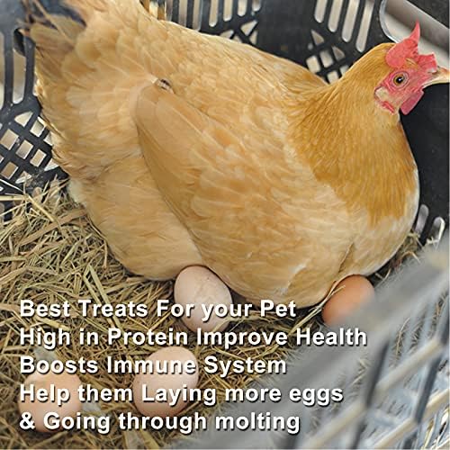 Ranz 10lbs de minhocas secas não OGM, lareiras de refeições com alta proteína para galinhas, pássaros selvagens, patos,
