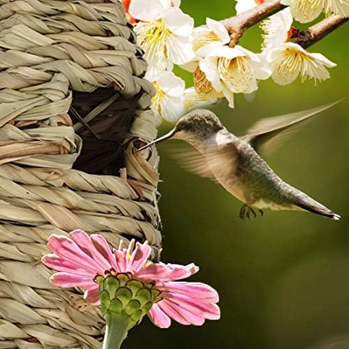Hummingbird Birdhouse para penduramento ao ar livre, de ninho de ninho de beija-flores natural, bolso de pássaro feito à