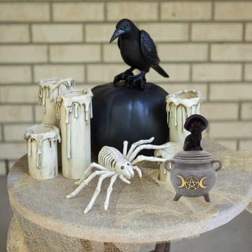 Cato preto em uma caixa decorativa do caldeirão, bugiganga ou caixa de jóias, decoração de Halloween, 5,75 polegadas
