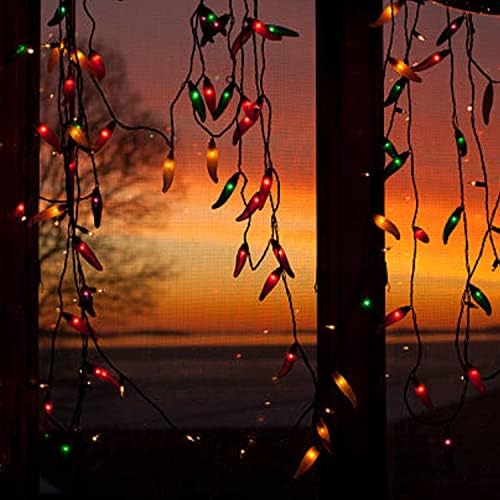 Dr.Betree Colorful Christmas Lights, 13,6 pés de pimenta multicolor pimenta luz