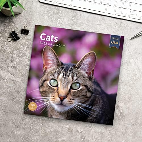2023 CATS CALENENDAR MENAL DE WALL POR BRILHA DIA, Feito nos EUA, 12 x 12 polegadas, fotão fofo de gatinho de estimação fotografia