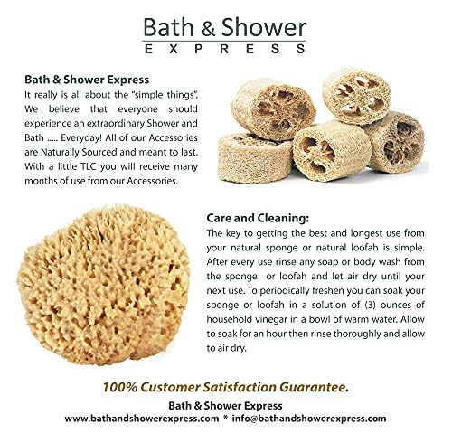 Esponja de lã do mar 6-7 de Bath & Shower Express ® Recurso renovável natural!