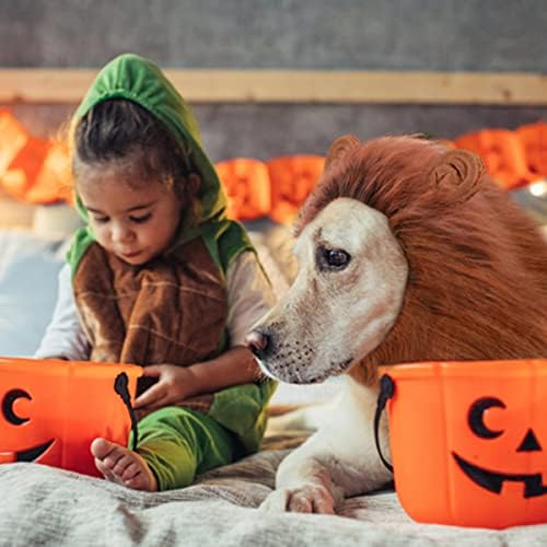 Dog Leão Mane Pet Halloween Fantas