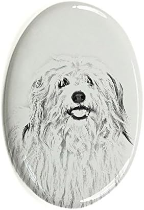 Coton de Tulear, lápide oval de azulejo de cerâmica com uma imagem de um cachorro