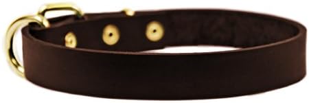 Dean & Tyler B e B Brown Basic Leather Dog Collar com hardware de latão sólido, tamanho de 18 polegadas por 3/4