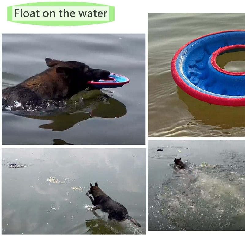 Disco voador de cães indestrutíveis - brinquedo de disco macio, leve e durável para brincar de busca interativa - adequado