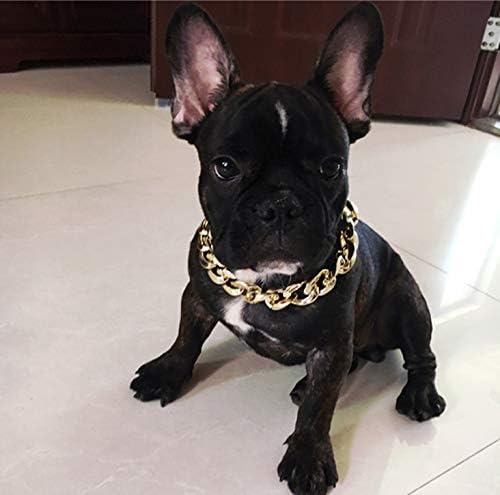 Colar de corrente de ouro de cachorro, Fashion Puppy Gold Collar Dog Acessórios para Fantas Faculdade de Aniversário Rock