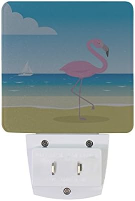 Naanle Conjunto de 2 flamingo rosa no veleiro de praia verão azul oceano nuvem de céu sensor automático levou o anoitecer