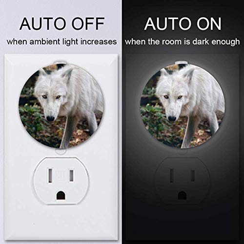 Baby Night Light With Wolf Animal Forest Night Light Plug in Wall com Dusk-to-Dawn Sensor 4-Pack