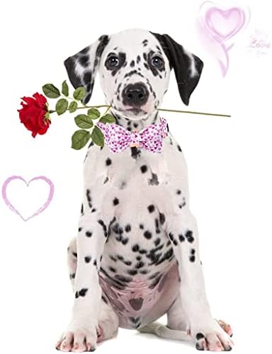 Colar de cachorro de algodão hfdgdfk com gravata borboleta namorada colar de cachorro de cachorro artesanal para cachorro para cachorro para cachorro pequeno e médio de cachorro pequeno