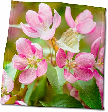 3drose rosa de maçã caranguejo, folhas verdes, fundo amarelado macio - toalhas
