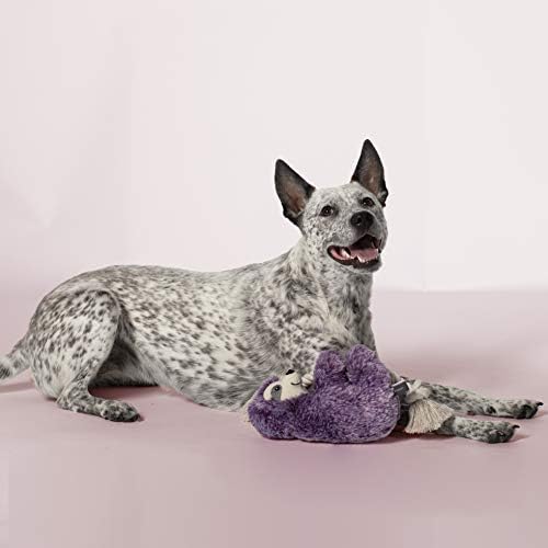 Bringa de cachorro Fringe Studio, preguiça violeta em um brinquedo de estimação de corda-plsh