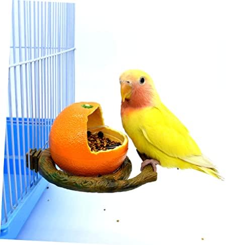 IPETBOOM 4 PCS Papagaço de alimentação da caixa de alimentação Bandejas de forragem Bandejas de alimento de pássaro