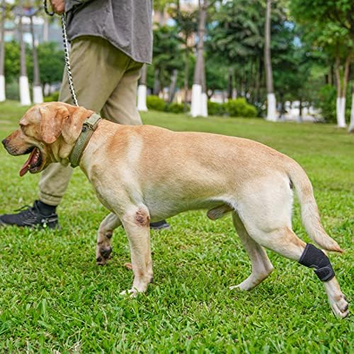 Chave de jarrete Yachirobi Dog, suporte de perna traseira para cães para artritos, compressão de perna traseira canina para cães velhos, manga da perna de neoprene para recuperação rápida de lesões
