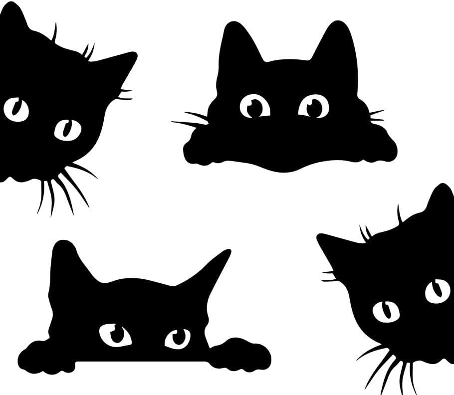 Dez quatro distribuições - engraçado gato de gato de gato de gatinho