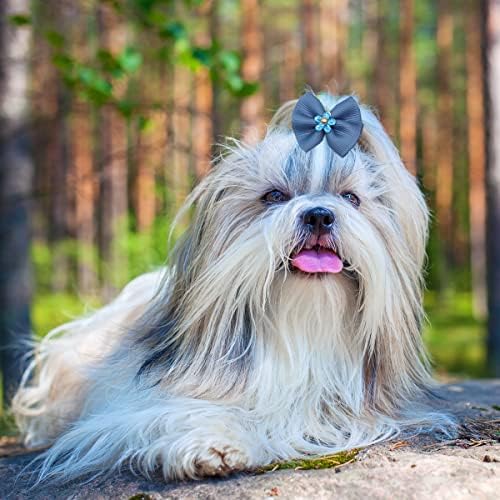 Arcos de cabelo de cachorro petunny, 50pcs Pet Brows Yorkie Yorkie com elos de borracha Arcos de cachorro Acessórios