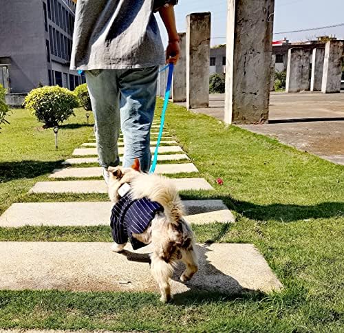 Coleira de cachorro reflexiva de 6 pés de 6 pés para cães grandes e médios e pequenos, colinas de nylon fortes e duráveis ​​para