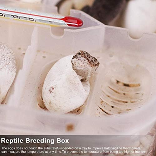 Caixa de criação de répteis, caixa de incubatório de incubadoras de ovos de répteis plásticos com tampa transparente para lagartixas,