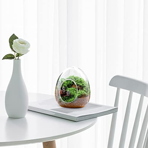 Plantas de ar de cabilock plantas de ar ovo formato de vidro garrafa micro garrafas de paisagem ecológica garrafa de planta floral