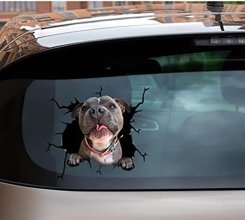 Adesivos de pára -choques pitbull veículos Pitbull Dad Car Decal