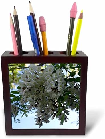 3drosrose lindas ailanthus Blossom Photograph - titulares de caneta de ladrilhos