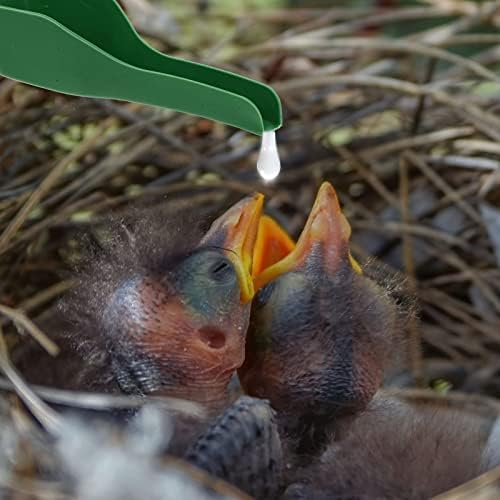 StoBok 20pcs Facher alimentador de pássaro, Plástico Papagaio de alimentação de papagaio Parrot alimentação de alimentos alimentos