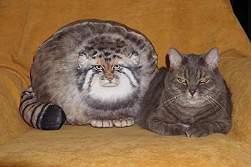 FOXHORE CAT PLUSH PLUSH Toy - 14 in Cute Backed Animal Pillow - travesseiro de pelúcia de gato macio de pastagem para meninos meninas