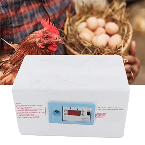 Incubadora automática de controle de temperatura, incubadora de ovos Incubadora de exibição digital líquida para experimento