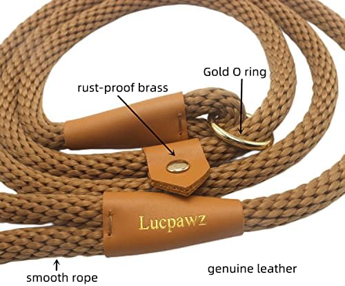 Slip Leads for Dogs 6 pés, trela de checkcord corda de corda, sem puxar corda de cachorro coleira, fácil de usar colarinho de coleira