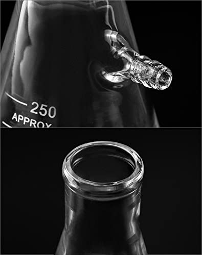QWORK 250ML Borossilicato Filtragem de vidro Flask com tubulação, 2 pacote