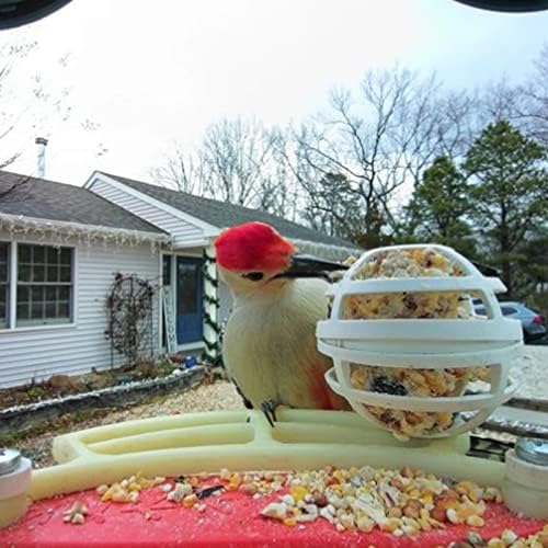 Piaolgyi Polas para Bird Buddy Smart Bird alimentador, acessórios de poleiro de pássaros compatíveis com pássaro Buddy Birdfeeder