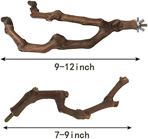 Kathson Natural Parrot Perch Bird Stand Stand Pólo selvagem uva bastão de pata de moça de garfo de periquito escalando