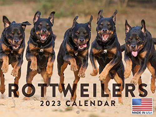 Calendário Rottweiler 2023 Calendários de pendura de parede mensal fofos engraçados de cachorro de cachorro de cachorro